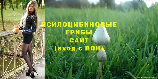 MDMA Premium VHQ Белокуриха