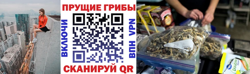 Псилоцибиновые грибы мухоморы продажа наркотиков кракен tor Кунгур
