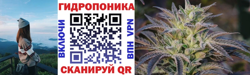 Шишки марихуана ГИДРОПОН  блэк спрут ссылка  Кунгур 
